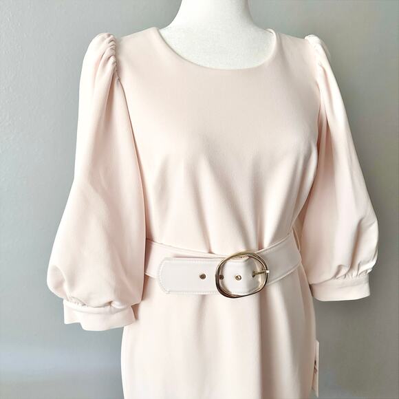 Calvin Klein Pale Peach Crepe Balloon Sleeve Belted Sheath women’s size 12 NEW - Picture 2 of 15
